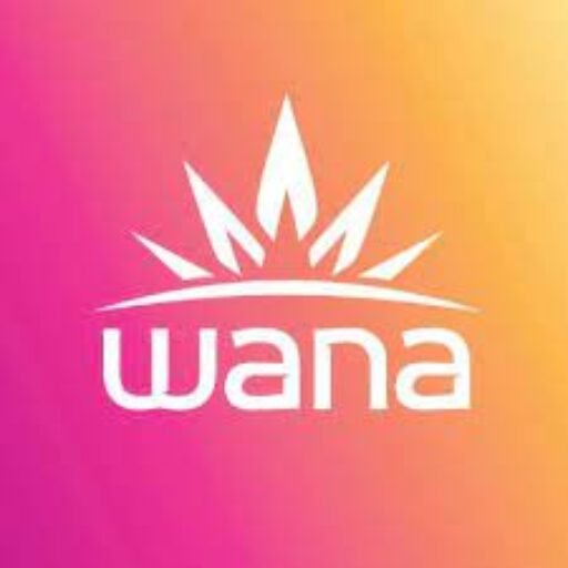 Wana Gummies