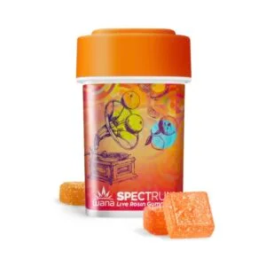 CITRUS SORBET (REC) // SATIVA