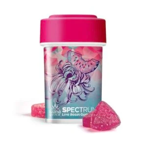 wana solventless gummies